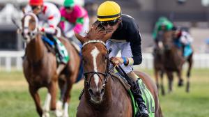 How's Al Today, Riley Mott, Al Gold, Gold Square, Breeders' Cup Juvenile Turf, Keeneland, horse racing, America's Best Racing, ABR