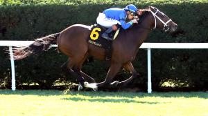 Commonwealth Turf Stakes, Churchill Downs, California Burrito, Troubleshooting, Montador, Anegada, Outrunner, Mansetti, Giocoso, Chapman’s Peak, Flying Mohawk, Simulate, Plensa, Brad Cox, Tyler Gaffalione, Greg Foley, gambling, Irad Ortiz, ABR