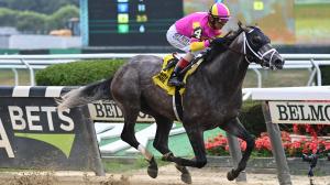 Charge It Breeders’ Cup Classic Suburban Stakes Belmont Park Whitney Stakes horse racing Todd Pletcher Whisper Hill Farm pedigree John Velazquez