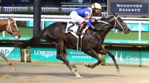 Betting on Speed in the 2025 Gun Runner Stakes