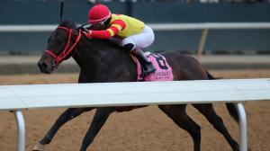 Coal Battle Smarty Jones Stakes Oaklawn Park Kentucky Derby jockey trainer Lonnie Briley Juan Vargas Remington Springboard Mile speed figures pedigree Coal Front Rebel