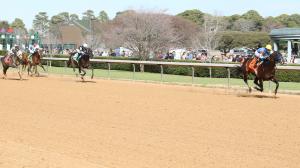 horse racing, Kentucky Derby, Cornucopian, Tappan Street, Disruptor, million, prep, trainer, speed, talent, owner, Arkansas Derby, Florida Derby