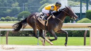 Griffin Johnson, social media, influencer, Stake in Stardom, fans, horse racing, followers, Instagram, Tik Tok, Sandman, Curtain Call, Ewing, Breeders’ Futurity, Keeneland, Champagne Stakes, Breeders’ Cup Juvenile, Kentucky Derby, owner, ABR