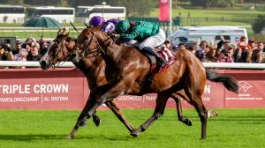 Daryz, Arc de Triomphe, France, Longchamp, international, Breeders’ Cup, turf, Minnie Hawk, Mikael Barzalona, Francis-Henri Graffard, Aga Khan, Diamond Necklace, Maranoa Charlie, Asfoora, Barnavara, Puerto Rico, Coolmore, Aidan O’Brien, ABR