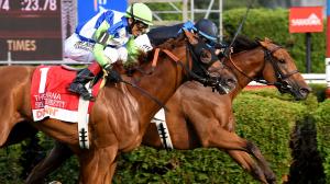 Equibase, rankings, leaderboard, standings, horses, trainers, jockeys, Diana Stakes, Saratoga, Bowling Green Stakes, Flavien Prat, Irad Ortiz Jr., Jose Ortiz, Brad Cox, Steve Asmussen, Mark Casse, Chad Brown, Excellent Truth, Far Bridge, ABR