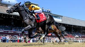 Griffin Johnson, Ewing, Ozark Stakes, Oaklawn Park, West Point Thoroughbreds, owner, influencer, TikTok, Instagram, racehorse, horse racing, Sandman, Mark Casse, trainer, Cristian Torres, jockey, Patrick Ewing, NBA, Kentucky Derby, ABR