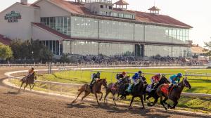 TV, television, radio, streaming, horse racing, Lecomte Stakes, Kentucky Derby, Fair Grounds, New Orleans, racetrack, Gulfstream Park, Aqueduct, FanDuel TV, NYRA, Turfway Park, Tampa Bay Downs, Santa Anita Park, HRRN, Byk, FOX Sports, RTN, ABR