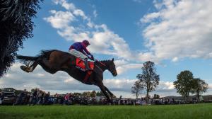 TV, streaming, radio, television, horse racing, steeplechase, FOX Sports, Far Hills, NYRA, Day at the Races, Keeneland, Belmont, Santa Anita, Laurel, Woodbine, Gulfstream, FanDuel TV, Byk, HRRN, RTN, ABR