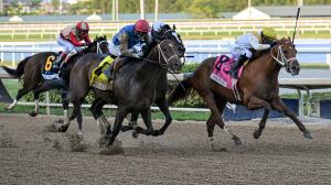 Derby Dozen, Kentucky Derby, Byron King, Renegade, Commandment, Chief Wallabee, The Puma, Class President, Silent Tactic, Potente, Pavlovian, Reagan’s Honor, Further Ado, Incredibolt, Emerging Market, horse racing, ABR