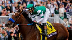 Flightline’s First Fleet: Yearlings by Sensational Horse of the Year Enter the Market 