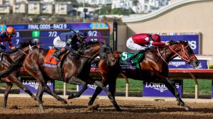 Breeders’ Cup Classic, Del Mar, Forever Young, Fierceness, Sierra Leone, Fujita Susumu, Ryusei Sakai, Yoshito Yahagi, Chad Brown, trainer, jockey, Todd Pletcher, Sovereignty, Eclipse Award, Journalism, Mindframe, horse racing, ABR