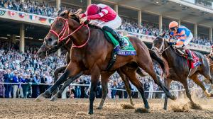 Longines, best racehorse rankings, Thoroughbred, Forever Young, Breeders’ Cup Classic, Sovereignty, Sierra Leone, Daryz, Field of Gold, Calandagan, Ombudsman, horse racing, international, ABR