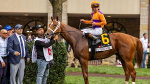 Kentucky Derby, Heating Up, Cooling Down, Santa Anita Derby, Blue Grass Stakes, Wood Memorial, Further Ado, So Happy, Albus, Potente, Right to Party, Ottinho, Reagan’s Honor, Iron Honor, Talk to Me Jimmy, Intrepido, Great White, horse racing, ABR