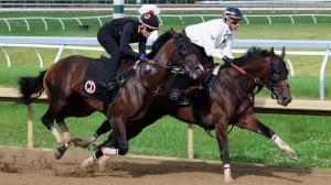 Power Rankings, Kentucky Derby, Triple Crown, Preakness Stakes, Belmont Stakes, Haskell Stakes, Golden Tempo, Renegade, Napoleon Solo, Crude Velocity, Chief Wallabee, Commandment, Stark Contrast, Always a Runner, Iron Honor, The Puma, horse racing, ABR