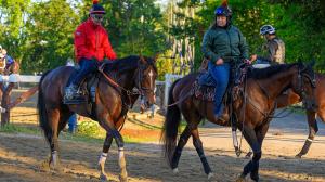 Travers Stakes, Saratoga, betting, Golden Tempo, Emerging Market, Leading Change, Napoleon Solo, The Puma, Renegade, Sea Strike, Ocelli, Baby Vino, Silent Tactic, speed figure, jockey, trainer, analysis, horse racing, ABR 