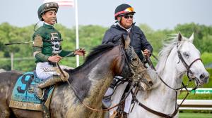 Equibase, earnings, North America, horses, jockeys, trainers, Golden Tempo, Belmont Stakes, Counting Stars, Acorn Stakes, Englishman, Woody Stephens Stakes, Jose Ortiz, Irad Ortiz, Flavien Prat, Steve Asmussen, Cherie DeVaux, Chad Brown, horse racing, ABR