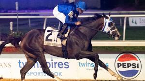 Equibase, earnings, standings, rankings, leaderboard, Good Cheer, Magnitude, Risen Star Stakes, Steve Asmussen, trainer, Irad Ortiz, jockey, Saffie Joseph, Quint’s Brew, speed figure
