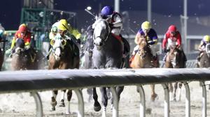 Equibase, leaders, leaderboard, standings, Great White, John Battaglia Memorial, Turfway Park, Resplendence, Cincinnati Trophy, Tyler Gaffalione, Ramon Vazquez, Irad Ortiz, jockey, trainer, Saffie Joseph, horse racing, ABR