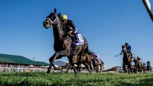 Kentucky Downs, Turf Sprint Stakes, Breeders’ Cup, Howard Wolowitz, Khaadem, Arrest Me Red, betting, exacta, handicapping, gambling, turf, sprint, odds, horse racing, ABR