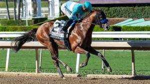Equibase, earnings, leaderboard, rankings, Hughes, American History, U. S. S. Valor, 2-year-old, Breeders’ Cup, juvenile, Rhetorical, Classic Q, older male, older female, jockey, trainer, Jose Ortiz, Flavien Prat, Brad Cox, horse racing, ABR