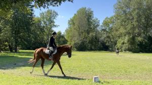 Julianne Pangal, Funnee, Retired Racehorse Project Thoroughbred Makeover