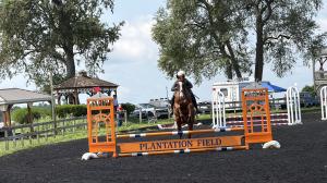 Coinin, Alcina Rawles, Fair Hill TRaining Center, Pastured Place, Aftercare, Meadow Spring Farm, Thoroughbred Makeover, horse racing, America's Best Racing, ABR