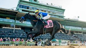 Santa Anita Park, Santa Anita Sprint, Zenyatta Stakes, Imagination, Bob Baffert, Juan Hernandez, Straight No Chaser, Dr. Venkman, Cavalieri, Breeders’ Cup Sprint, Distaff, horse racing, ABR