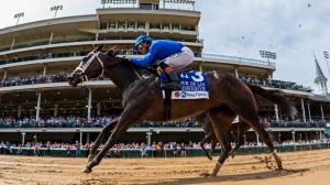 Equibase, earnings, rankings, leaderboard, Magnitude, Stephen Foster, Churchill Downs, Immersive, Fleur de Lis, Blessed Flyer, Bashford Manor, Pierette, Debutante, trainer, jockey, Irad Ortiz, Jose Ortiz, Steve Asmussen, Brad Cox, ABR