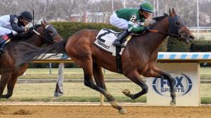 2026 Gotham Stakes at a Glance