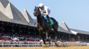 Champagne Stakes, Belmont, Aqueduct, Big A, betting, handicapping, trifecta, It’s Our Time, Just Asap, Curtain Call, Universe, Napoleon Solo, Talkin, Amoss, Casse, Breeders’ Cup, 2-year-old, juvenile, horse racing, ABR