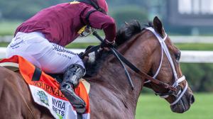 2025 Haskell Stakes Cheat Sheet
