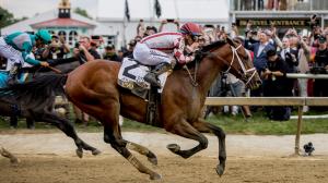Horse racing, finishes, races, thrillers, comebacks, world record, wins, photo finish, Preakness Stakes, Kentucky Derby, Breeders’ Cup Classic, Personal Ensign, Spinster, Del Mar Handicap, Journalism, Sovereignty, Thorpedo Anna, Gold Phoenix, Mindframe, F