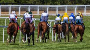TV, radio, livestream, horse racing, Kentucky Downs, Breeders’ Cup, Del Mar, Colonial Downs, Gulfstream Park, Meadowlands, Woodbine, FanDuel TV, RTN, Byk, HRRN, Rabaut, ABR