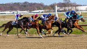 TV, television, radio, streaming, Preakness, Kentucky Derby, Keeneland, Laurel Park, Santa Anita Park, Oaklawn Handicap, Oaklawn Park, Sovereignty, Journalism, Gulfstream, Aqueduct, NYRA, FOX, FS2, FanDuel TV, Byk, HRRN, RTN, horse racing, ABR