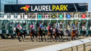 Tips to Bet Saturday’s Preakness Preview Day Card at Laurel Park