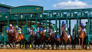 2026 Lexington Stakes at a Glance