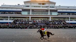 Pegasus World Cup Invitational Gulfstream Park handicapping horseplayers Pegasus World Cup Betting Championship bankroll gambling tournament entries contest purse prize money NHC Eddie Olczyk 1/ST high roller buy in horse racing