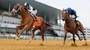 Breeders’ Cup Classic, Power Rankings, horse racing, Del Mar, Sovereignty, Fierceness, Sierra Leone, Mindframe, Journalism, Forever Young, Baeza, Antiquarian, Locked, Woodward, Highland Falls, ABR