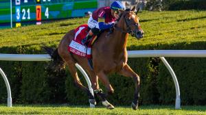 Equibase, earnings, leaderboard, standings, rankings, Lush Lips, Queen Elizabeth II, Challenge Cup, Keeneland, trainer Brendan Walsh, Steve Asmussen, Brad Cox, jockey Flavien Prat, Irad Ortiz, Mark Casse, Time to Dazzle, horse racing, ABR