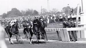 Majestic Prince: A Racehorse Who Lived Up to His Name