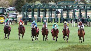 Maker’s Mark Mile, Keeneland, Rhetorical, One Stripe, Troubleshooting, Notable Speech, Aomori City, Zulu Kingdom, Tenacious Leader, Bear River, Wolfie’s Dynaghost, Deterministic, Tiz Dashing, Brilliant Bertie, Pitkin