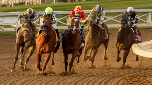 Main Win Contenders in 2025 Malibu Stakes