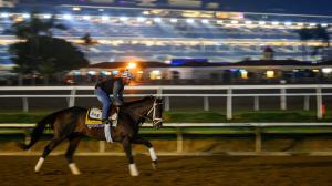 Breeders’ Cup Classic, Del Mar, betting, Mindframe, gambling, Fierceness, Baeza, Nevada Beach, Contrary Thinking, Forever Young, Sierra Leone, Journalism, Antiquarian, Sovereignty, horse racing ABR
