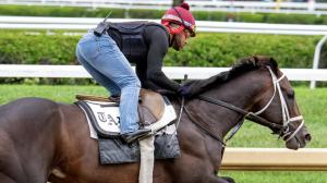 Mindframe, Fierceness, Breeders’ Cup Classic, Pacific Classic, Jockey Club Gold Cup, Todd Pletcher, trainer, Repole, Ted Noffey, Breeders’ Futurity, Keeneland, Tommy Jo, Alcibiades, horse racing, Irad Ortiz, ABR