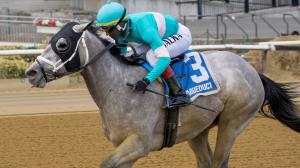 2026 Kentucky Derby Prospect Profiles: Jerome Stakes Winner My World 