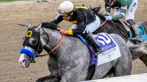 Napoleon Solo, Triple Crown, Preakness Stakes, Laurel Park, Haskell Stakes, Monmouth Park, Chad Summers, trainer, Gold Square, Al Gold, owner, Paco Lopez, jockey, Wood Memorial, Champagne Stakes, breeding, pedigree, Liam’s Map, speed figure, colt, ABR