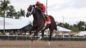2026 Kentucky Derby Prospect Profiles: Holy Bull Stakes Winner Nearly 