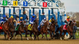 Banking on a ‘Believable’ Result in 2025 Demoiselle Stakes 