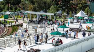 Weekend Winners, Belmont Park, Miss Grillo, Futurity, turf, Super Saturday, exacta, trifecta, betting, gambling, handicapping, Breeders’ Cup, Luminous Beauty, Just Joe, Good to Be King, Golden Siren, Fiora, Domestic Agenda, horse racing, ABR
