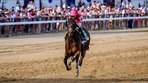 Breeders’ Cup, Challenge Series, Win and You’re In, World Championships, Nitrogen, Reef Runner, Nysos, Forever Young, Skippylongstocking, Pegasus World Cup, Saudi Cup, Metropolitan Handicap, Jaipur Stakes, Keeneland, Stephen Foster, ABR